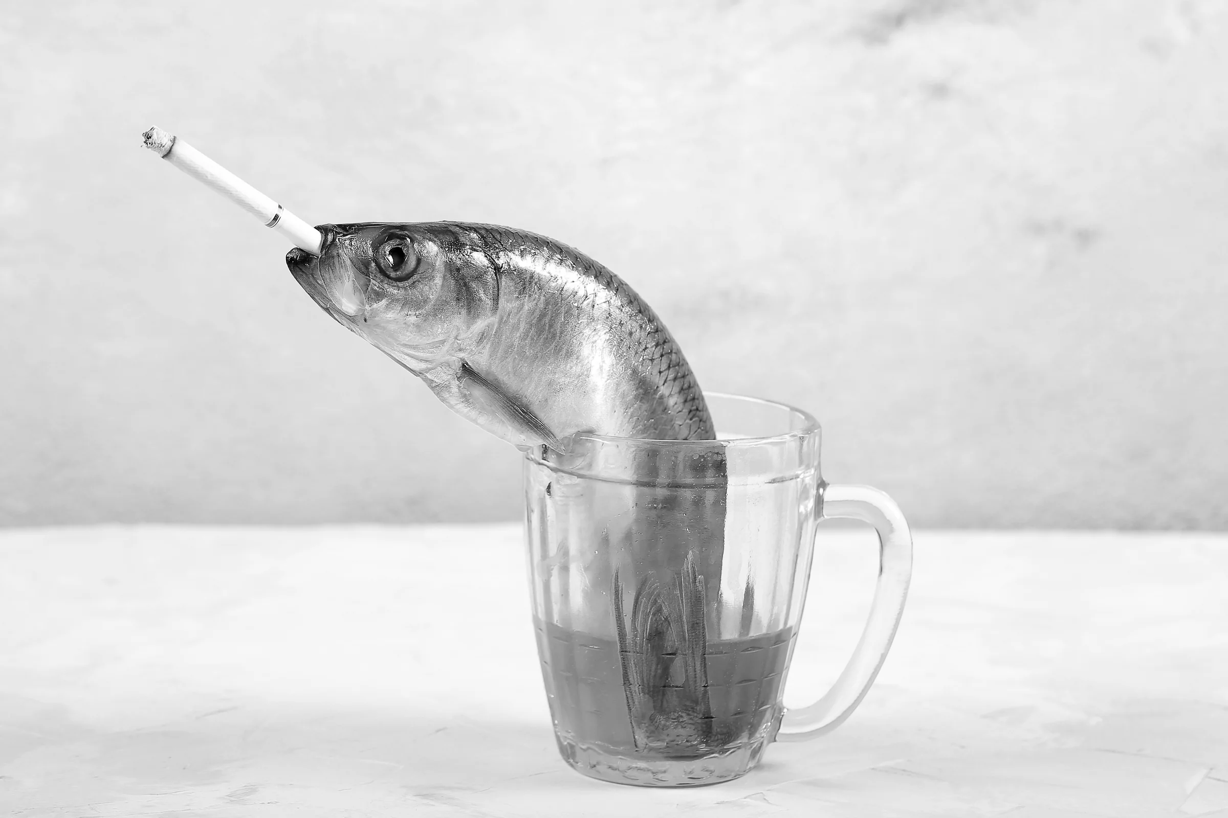 Surreal monochrome fish smoking above a glass mug