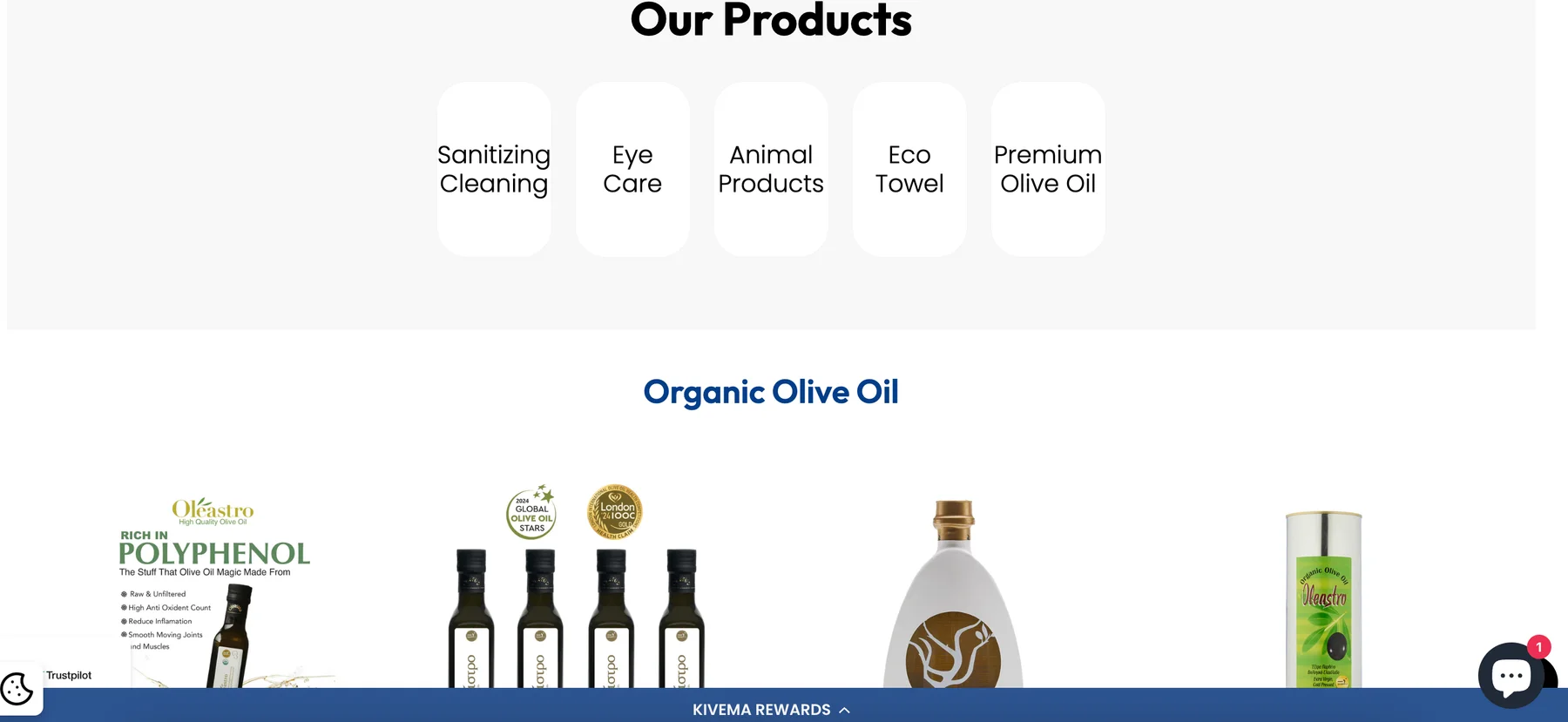 Kivema shop interface showing its product-category architecture